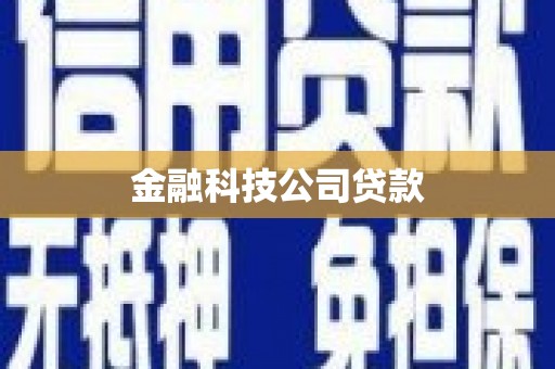 民乐金融科技公司贷款