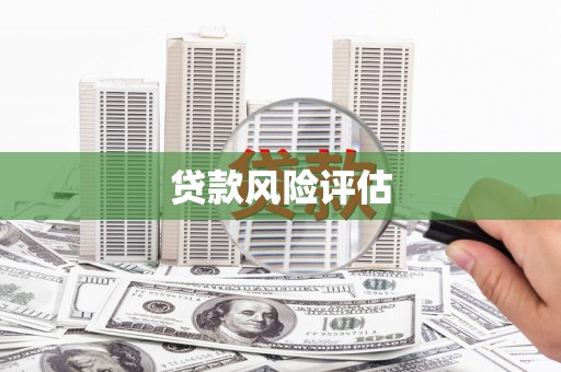 民乐贷款风险评估