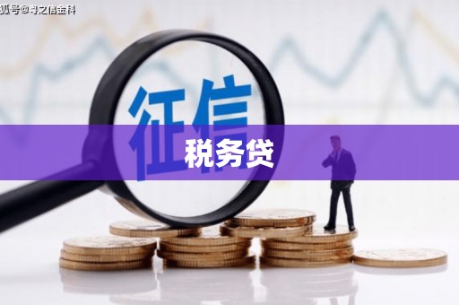 民乐税务贷