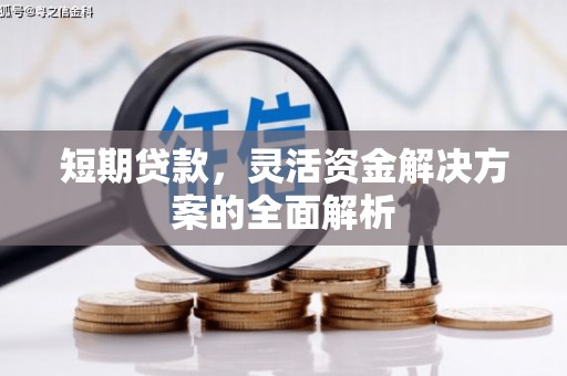 民乐短期贷款，灵活资金解决方案的全面解析