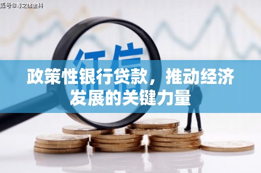 民乐政策性银行贷款，推动经济发展的关键力量