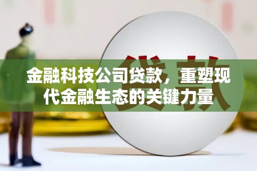 民乐金融科技公司贷款，重塑现代金融生态的关键力量