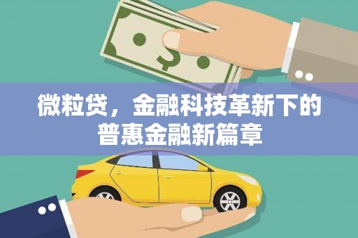 民乐微粒贷，金融科技革新下的普惠金融新篇章