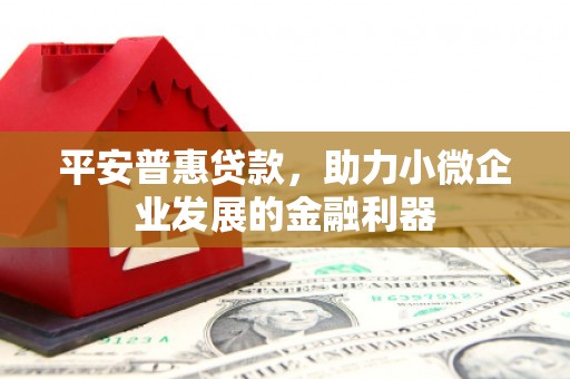 民乐平安普惠贷款，助力小微企业发展的金融利器