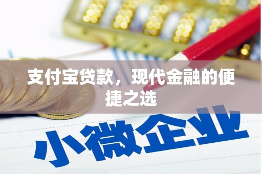 民乐支付宝贷款，现代金融的便捷之选