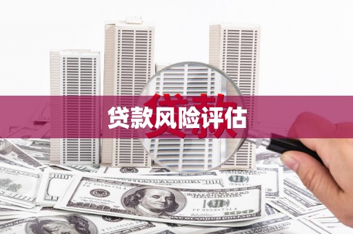 民乐贷款风险评估