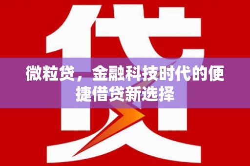 民乐微粒贷，金融科技时代的便捷借贷新选择