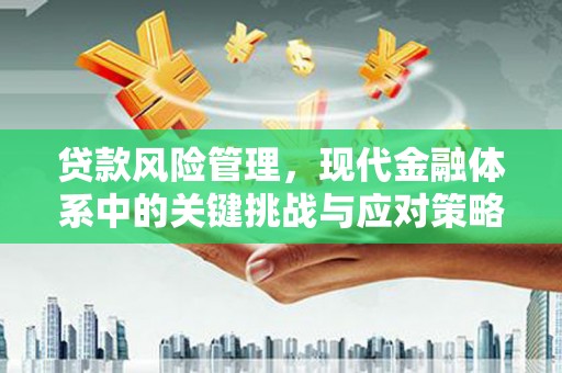 民乐贷款风险管理，现代金融体系中的关键挑战与应对策略