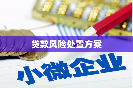民乐贷款风险处置方案